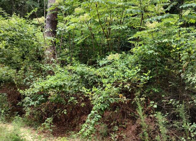Property at Lakeshore Dr, Lumberton, MS 39455