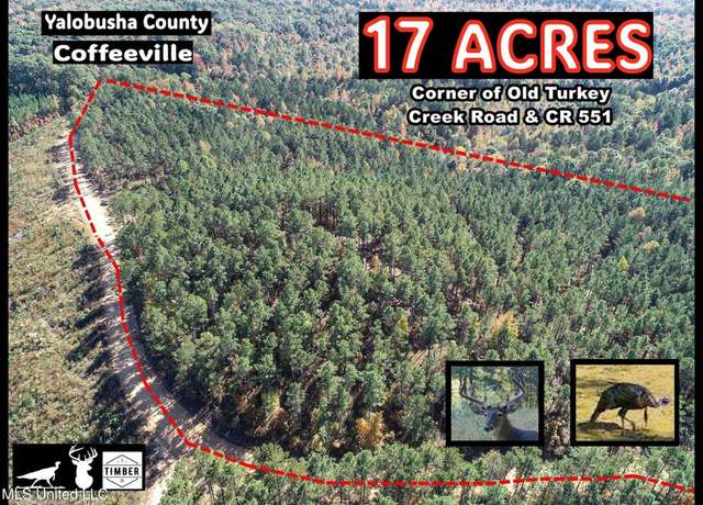 Property at 551 Country Road, Coffeeville, MS 38922
