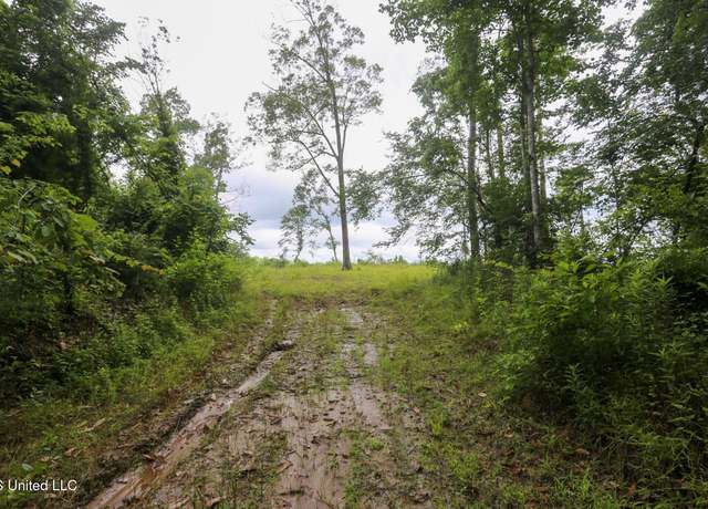 Property at Gowall Rd, Vicksburg, MS 39180