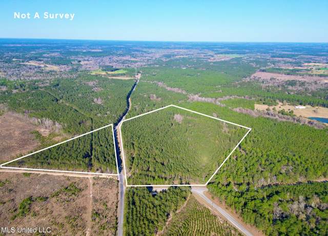 Property at Nhn Gobbler Head Rd, Poplarville, MS 39470