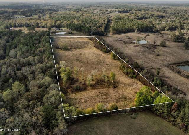 Property at 13.62 +/- Acres Jan's Rd, Richton, MS 39476