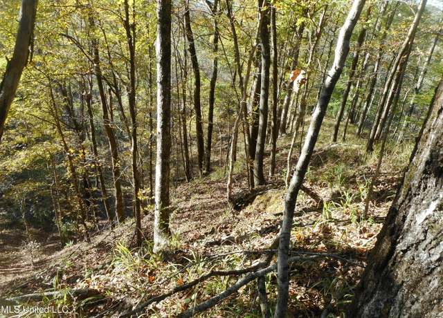 Property at Perry Creek Rd, Satartia, MS 39162