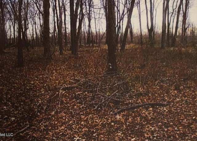 Property at Lot 70 (gravel) Blue Gill Rd, Vicksburg, MS 39183