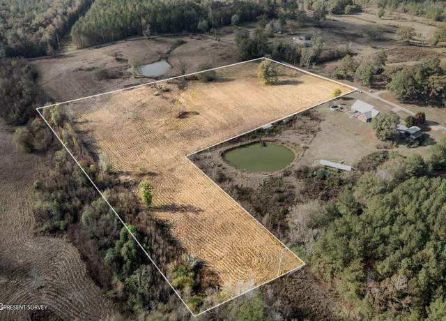 Property at 10.10 +/- Acres Jan's Rd, Richton, MS 39476