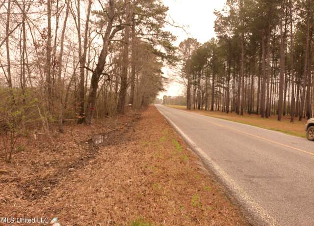 Property at Hwy 43, Pelahatchie, MS 39145
