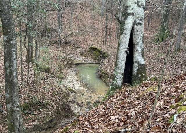 Property at 0 Murray Rd, Crosby, MS 39633