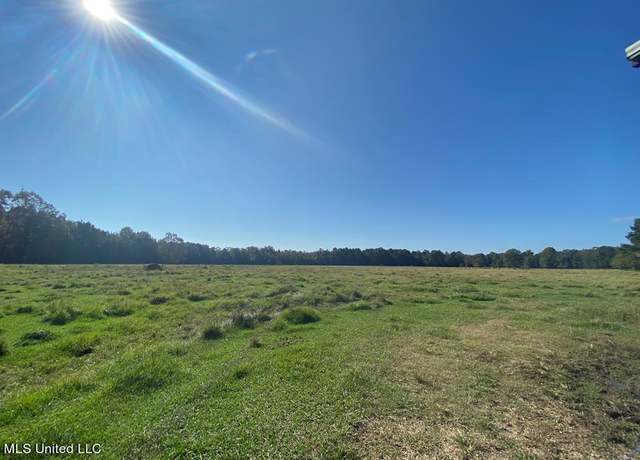 Property at 260 N Mitchel Chappel Rd, Poplarville, MS 39470
