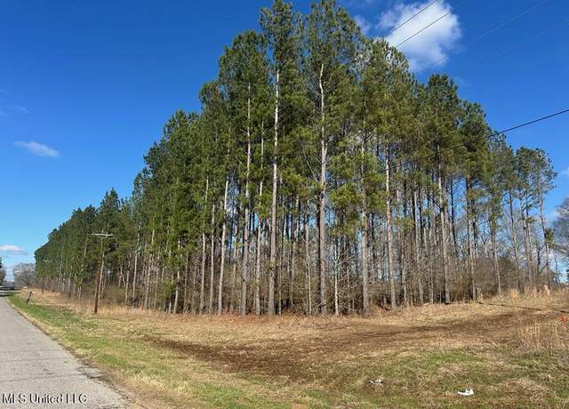 Property at Smith County Road 99, Bay Springs, MS 39422