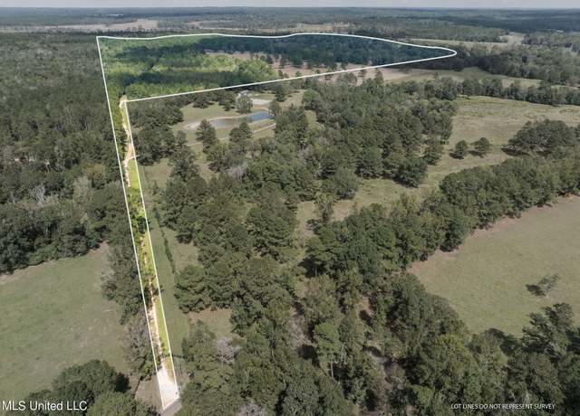 Property at 162 +/- Acres Hwy 598, Seminary, MS 39479