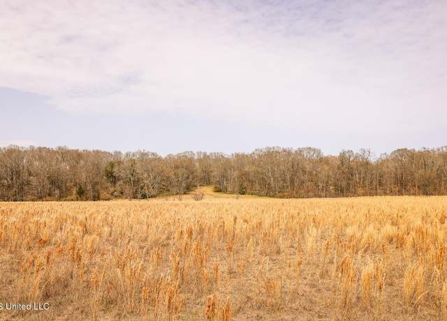 Property at Tbd Old Hwy 80, Vicksburg, MS 39180