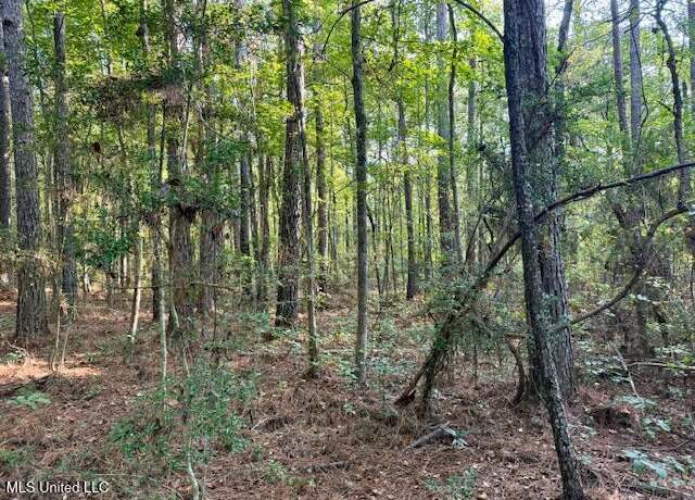 Property at SW Goodwill Loop Loop, Brookhaven, MS 39601