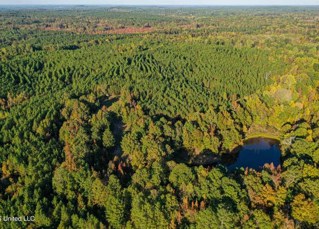 Property at 01 County Road 107, Pittsboro, MS 38951