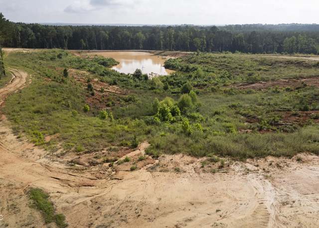 Property at Wire Rd, Pelahatchie, MS 39145