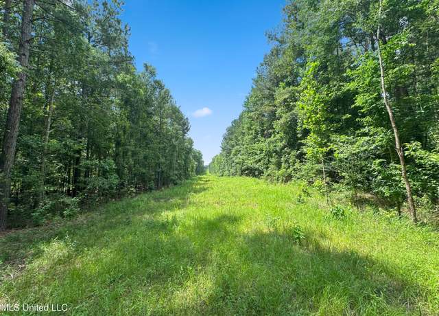 Property at Antioch Shiloh Rd, Pelahatchie, MS 39145
