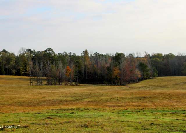 Property at Tbd Cr 145, Bruce, MS 38915