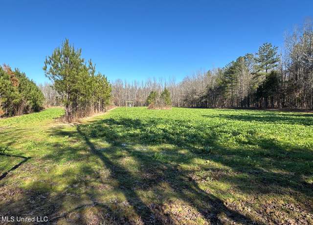 Property at Co Rd 4120, Sallis, MS 39160