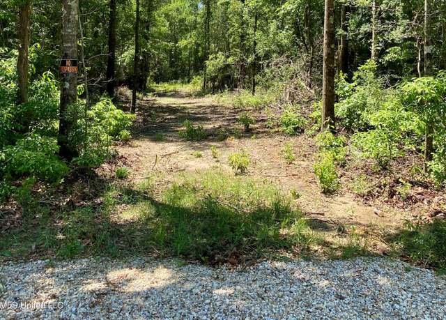 Property at 00 Otho Davis Rd, Lumberton, MS 39455