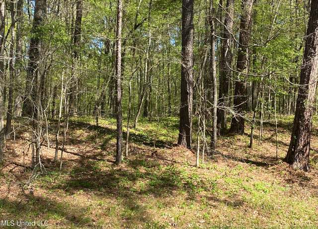 Property at 0000 W Adams Station Rd, Edwards, MS 39066