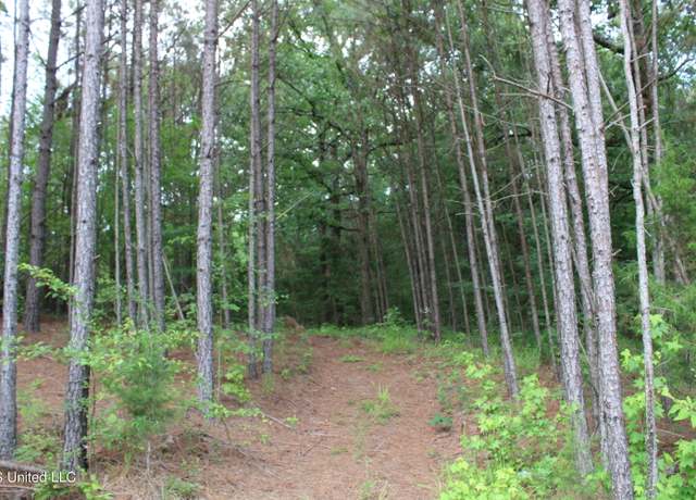Property at 6400 Tate Marshall Rd, Coldwater, MS 38618