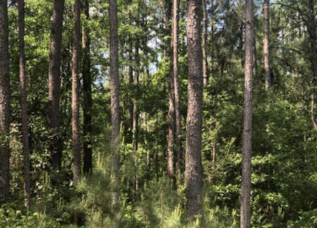 Property at No Shows Rd, Waynesboro, MS 39367