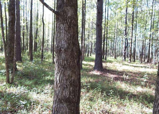 Property at 22300 7, Coffeeville, MS 38922
