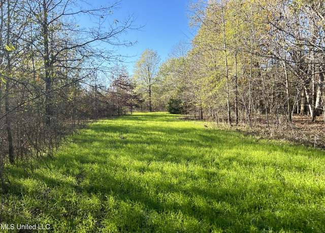 Property at W Mound Bayou Rd, Mound Bayou, MS 38762