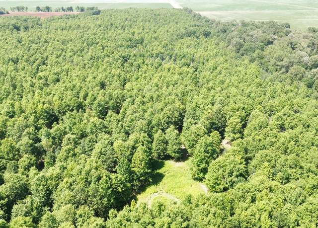 Property at Hwy 442, Schlater, MS 38952