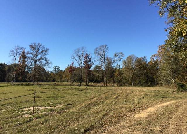 Property at 00 Hwy 24/whites School Rd, Centreville, MS 39631