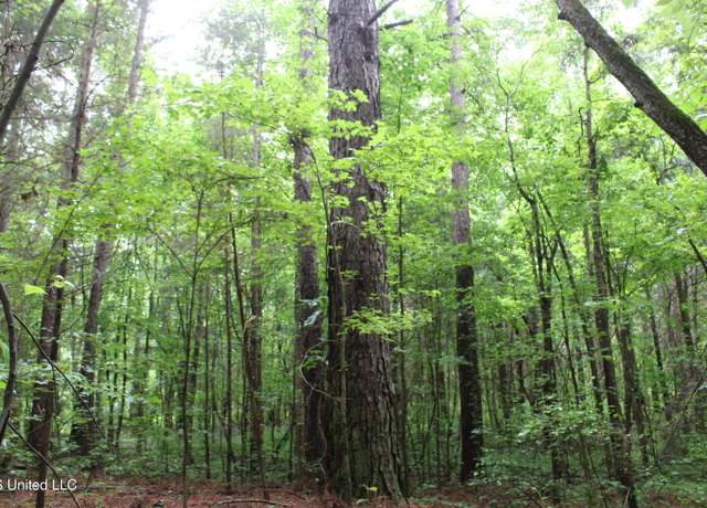 Property at 600 Jessie's Rd, Michigan City, MS 38647