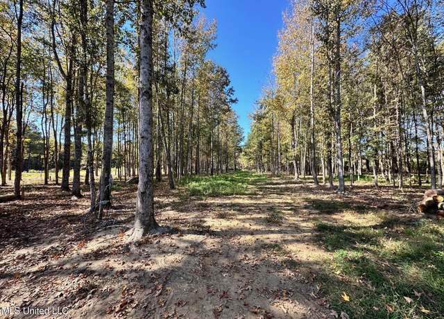 Property at Lot D Swamp Rd, Carthage, MS 39051