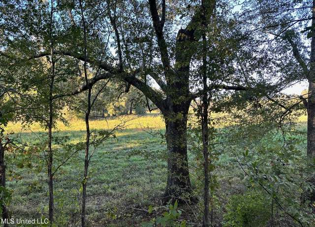Property at Lot C Swamp Rd, Carthage, MS 39051