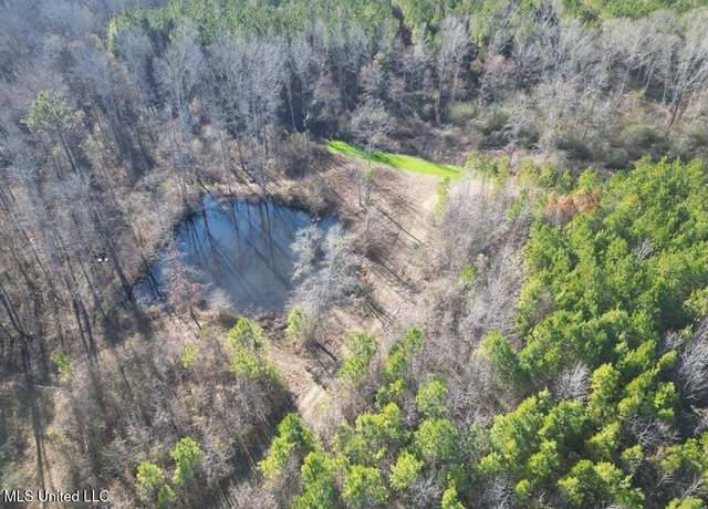 Property at 9307a Ms 28, Fayette, MS 39069