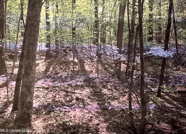Property at Stigler Rose Dr, Florence, MS 39073