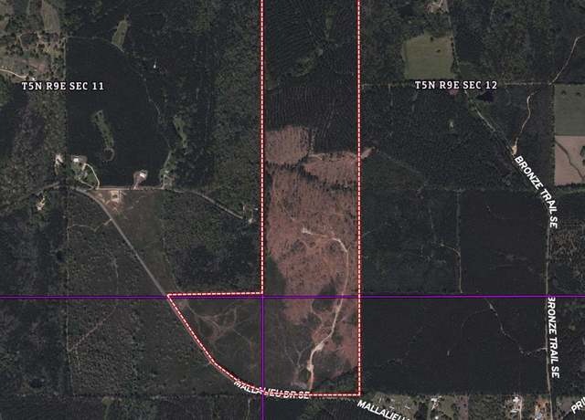 Property at 1234 Mallilieu Rd, Ruth, MS 39662