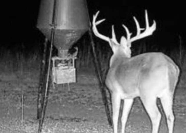 Property at Hwy 444, Shelby, MS 38774