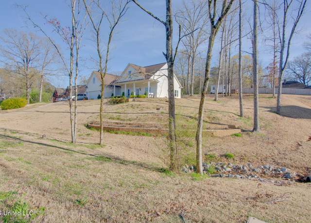 Property at 4235 E Star Landing Rd, Nesbit, MS 38651, 3 beds, 2 baths