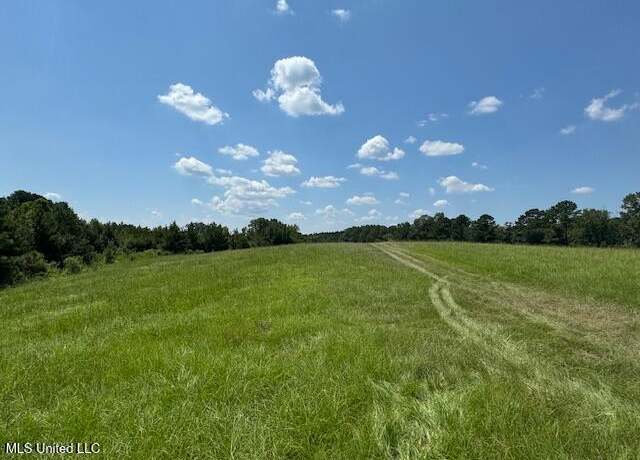 Property at 0 E Burt Loop Rd, Crystal Springs, MS 39059