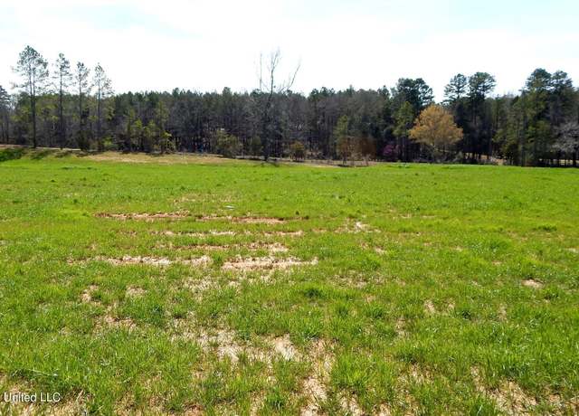 Property at 4 Graysport Crossing Rd, Gore Springs, MS 38929