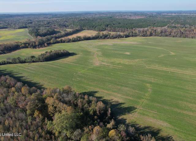 Property at Attala Road 4110, Sallis, MS 39160