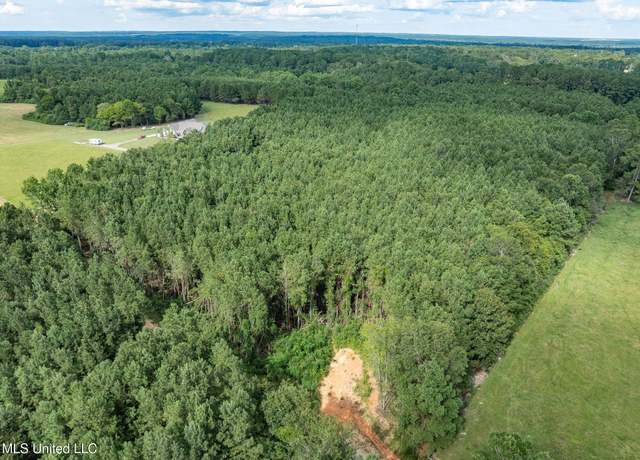 Property at Parcel C J. Runnels Rd, Petal, MS 39465