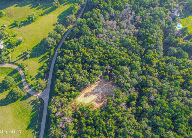 Property at Mount Leopard Rd, Flora, MS 39071
