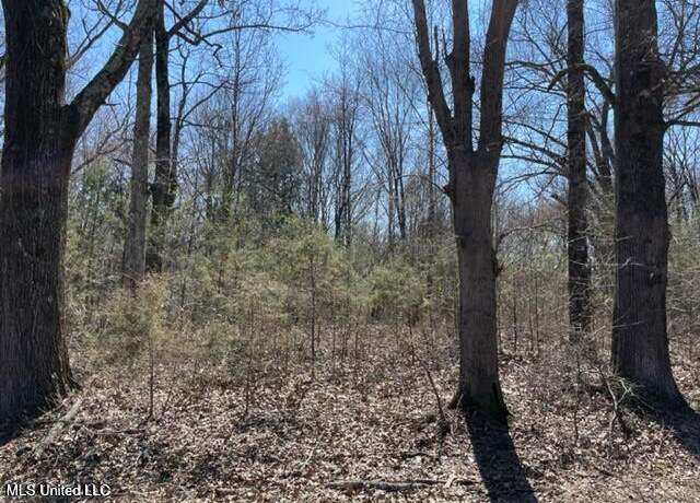 Property at 0 Box Corner Rd, Byhalia, MS 38611
