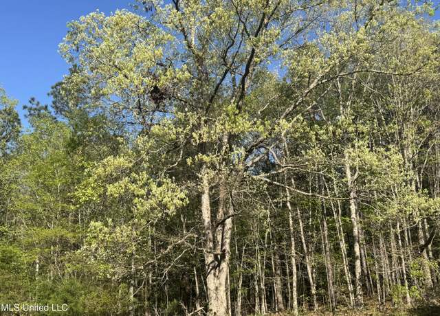 Property at Liberty Church Rd, Ashland, MS 38603