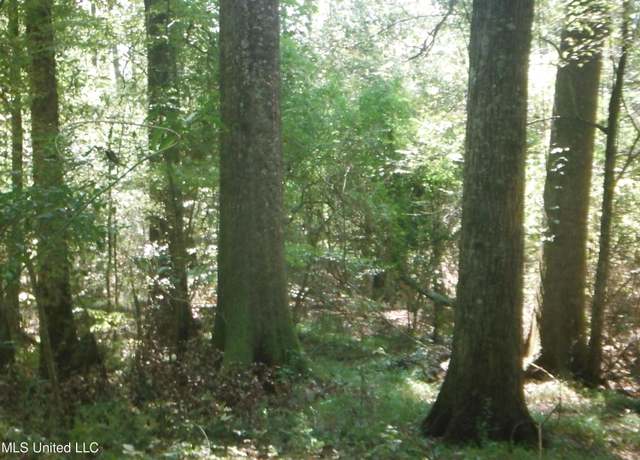 Property at 01 N Hwy. 35, Carthage, MS 39051