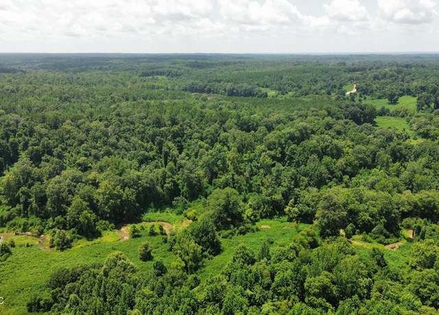 Property at Ascalmore Creek Road Rd, Cascilla, MS 38920
