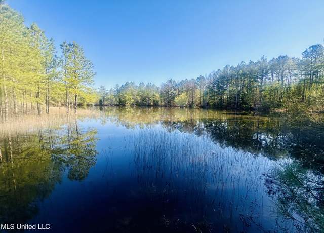 Property at 0 Little Rock Rd, Crystal Springs, MS 39059