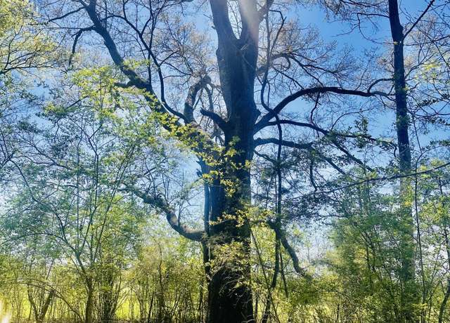Property at 00 Little Rock Rd, Crystal Springs, MS 39059