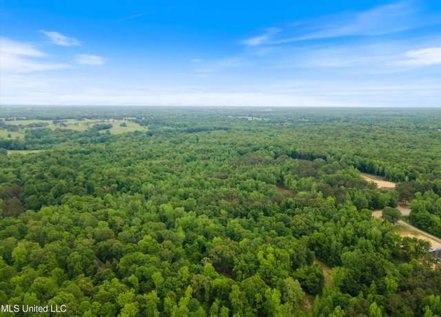 Property at 64 Dogwood Cv, Sarah, MS 38665