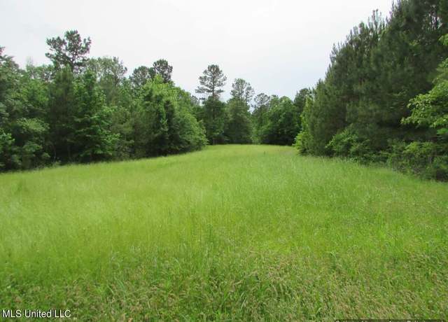 Property at Lot 3 Permenter Rd, Canton, MS 39046