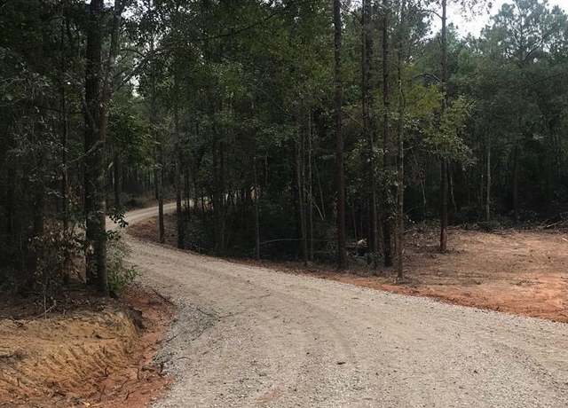 Property at Lot #7 Burgetown Rd, Carriere, MS 39426